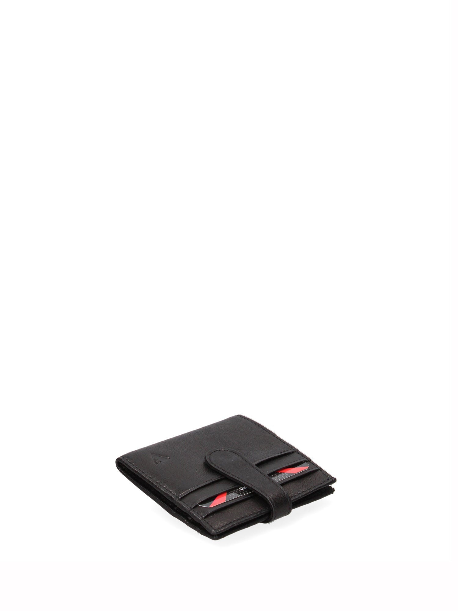 Wallet-2