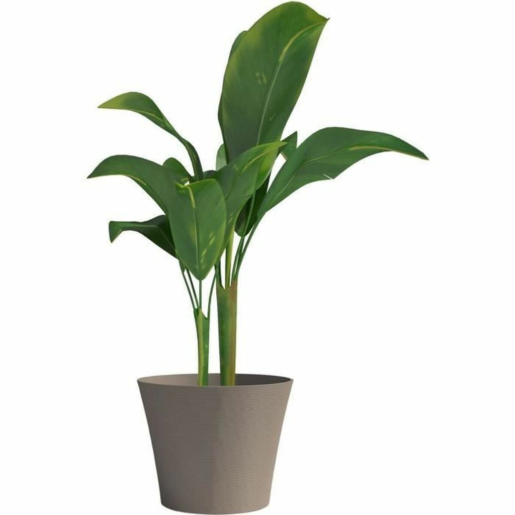 Planter Garden ID-1